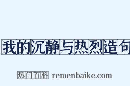 我的沉静与热烈造句是什么意思的图片